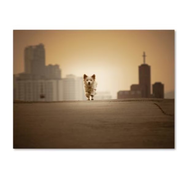 Biduri Chang-Hwan Park 'Be With You' Canvas Art, 18x24, Trademark Fine Art, Mfr#: 1X00170-C1824GG